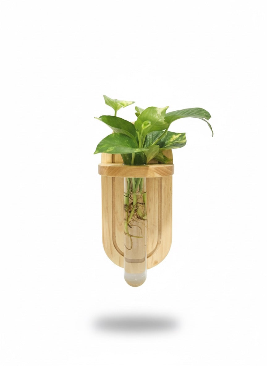 Wall-Mounted Single Test Tube Propagation Station