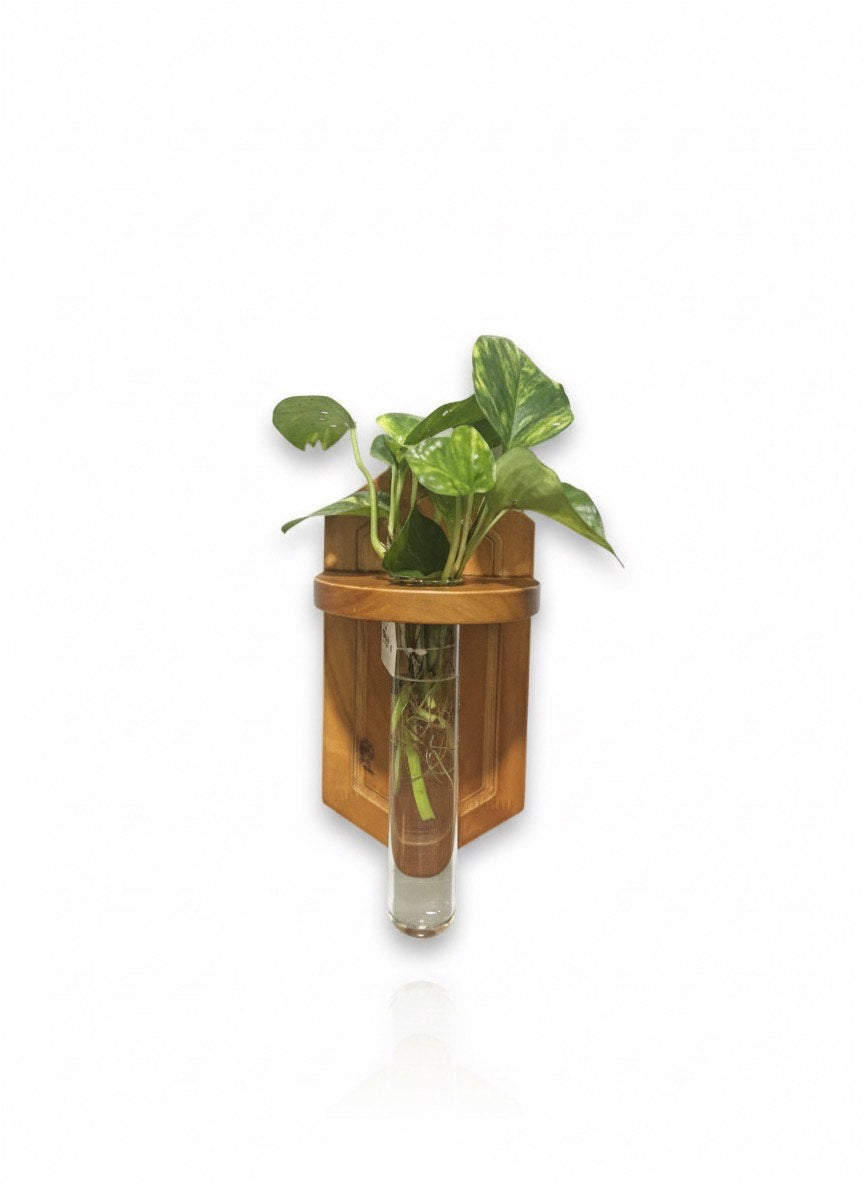 Wall-Mounted Single Test Tube Propagation Station