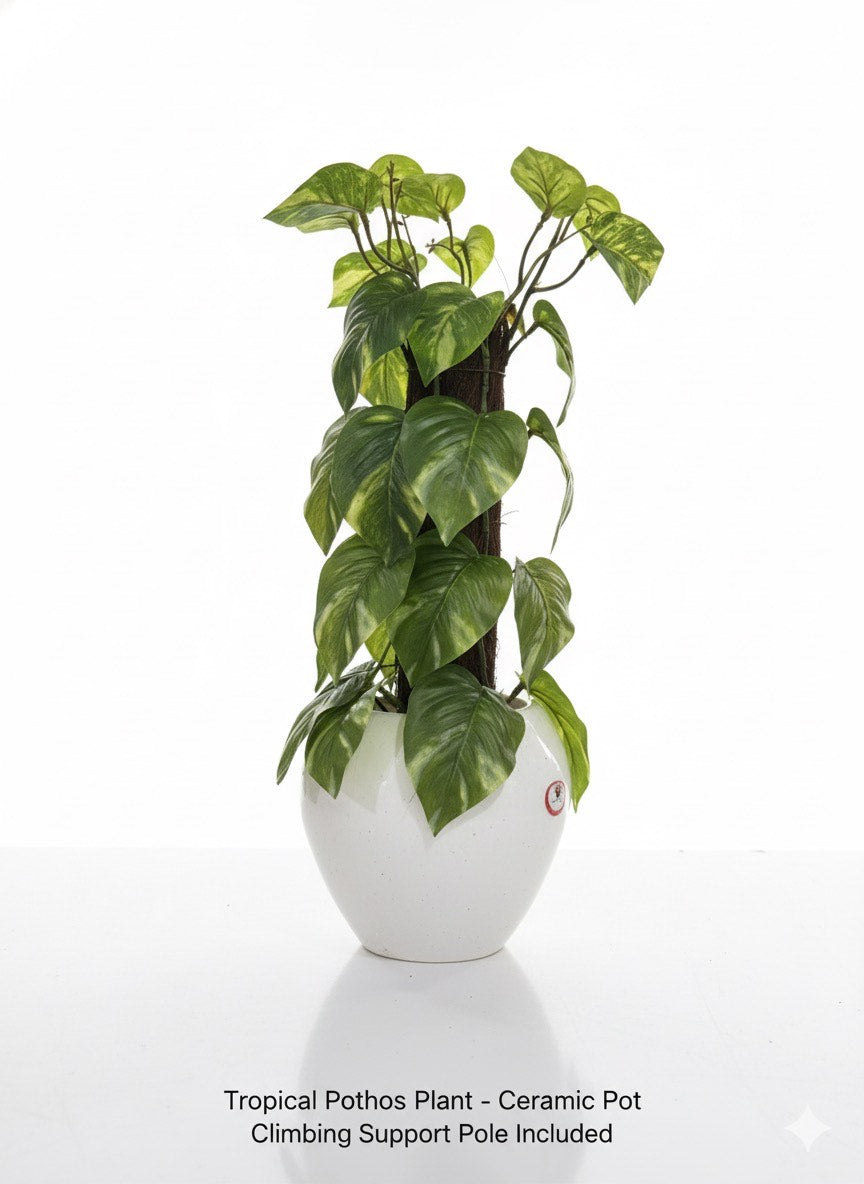 ARTIFICIAL MONEY PLANT