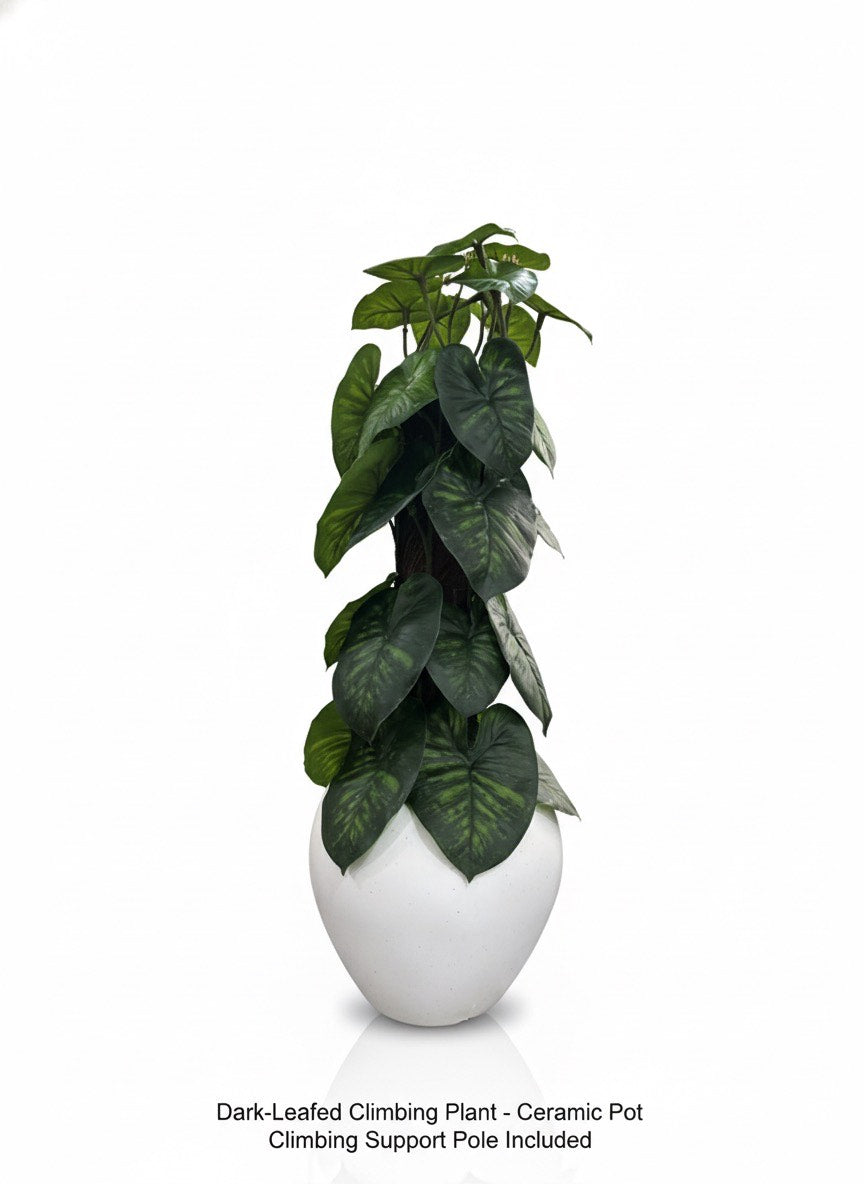 ARTIFICIAL MONEY PLANT