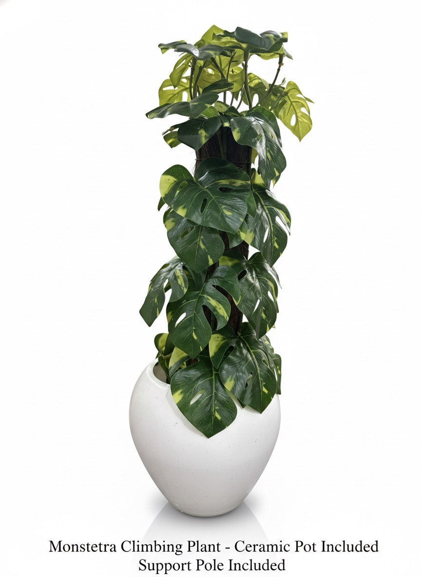 ARTIFICIAL MONEY PLANT