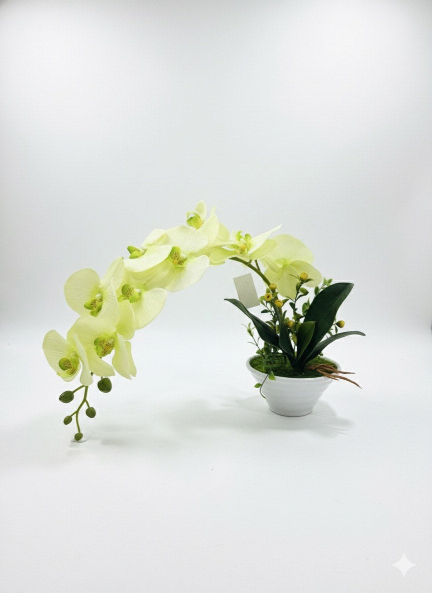 SET FLOWER ORCHID