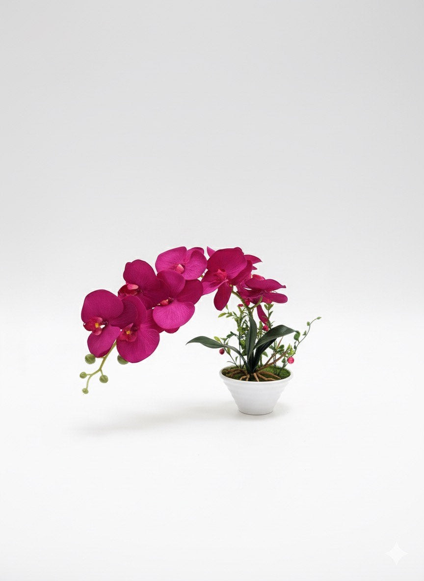 SET FLOWER ORCHID
