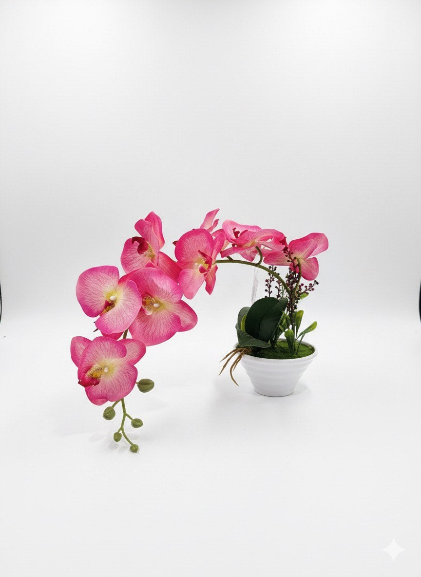 SET FLOWER ORCHID