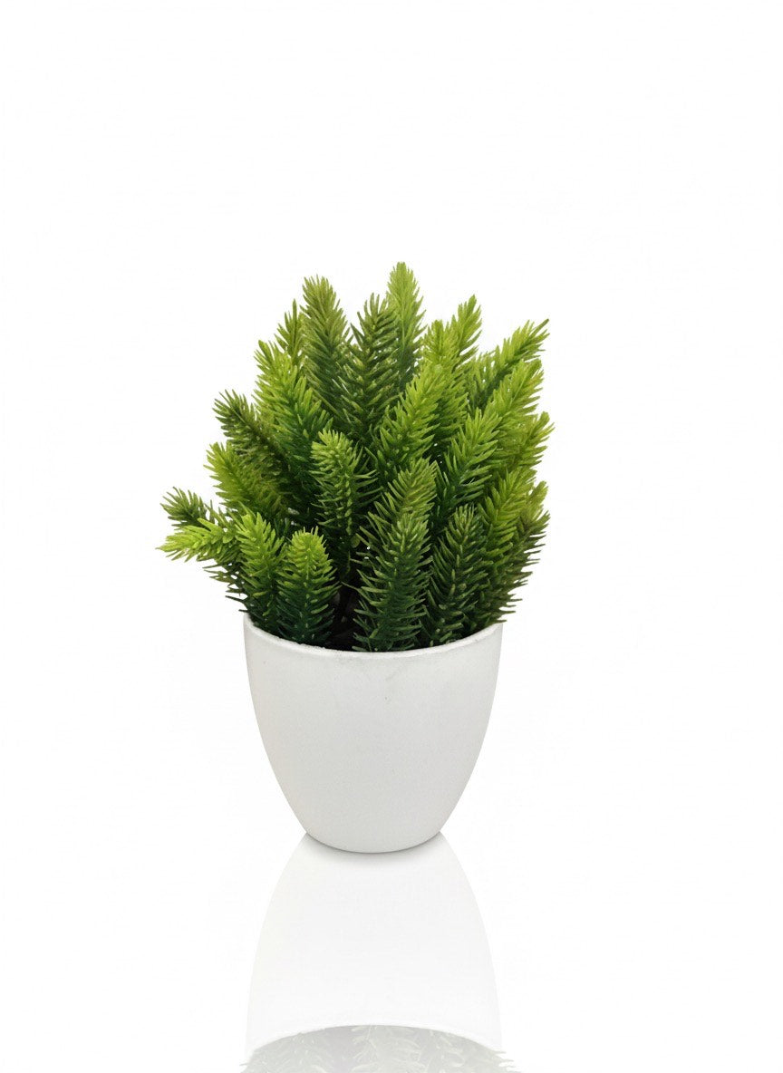 ARTIFICIAL BONSAI PLANT