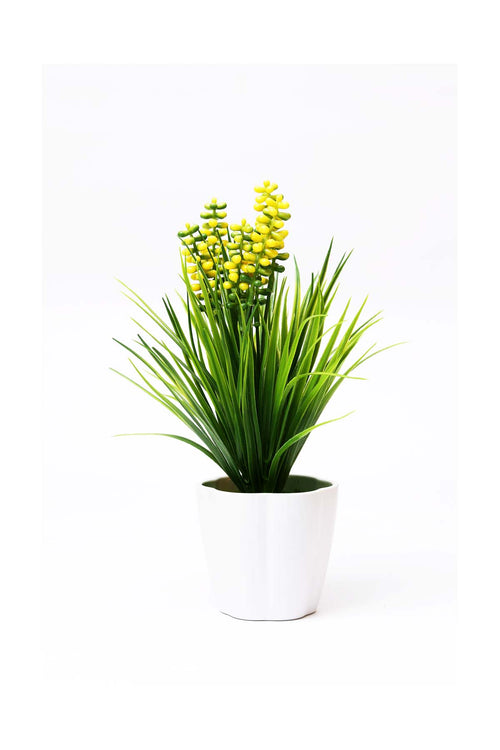 Flower pot